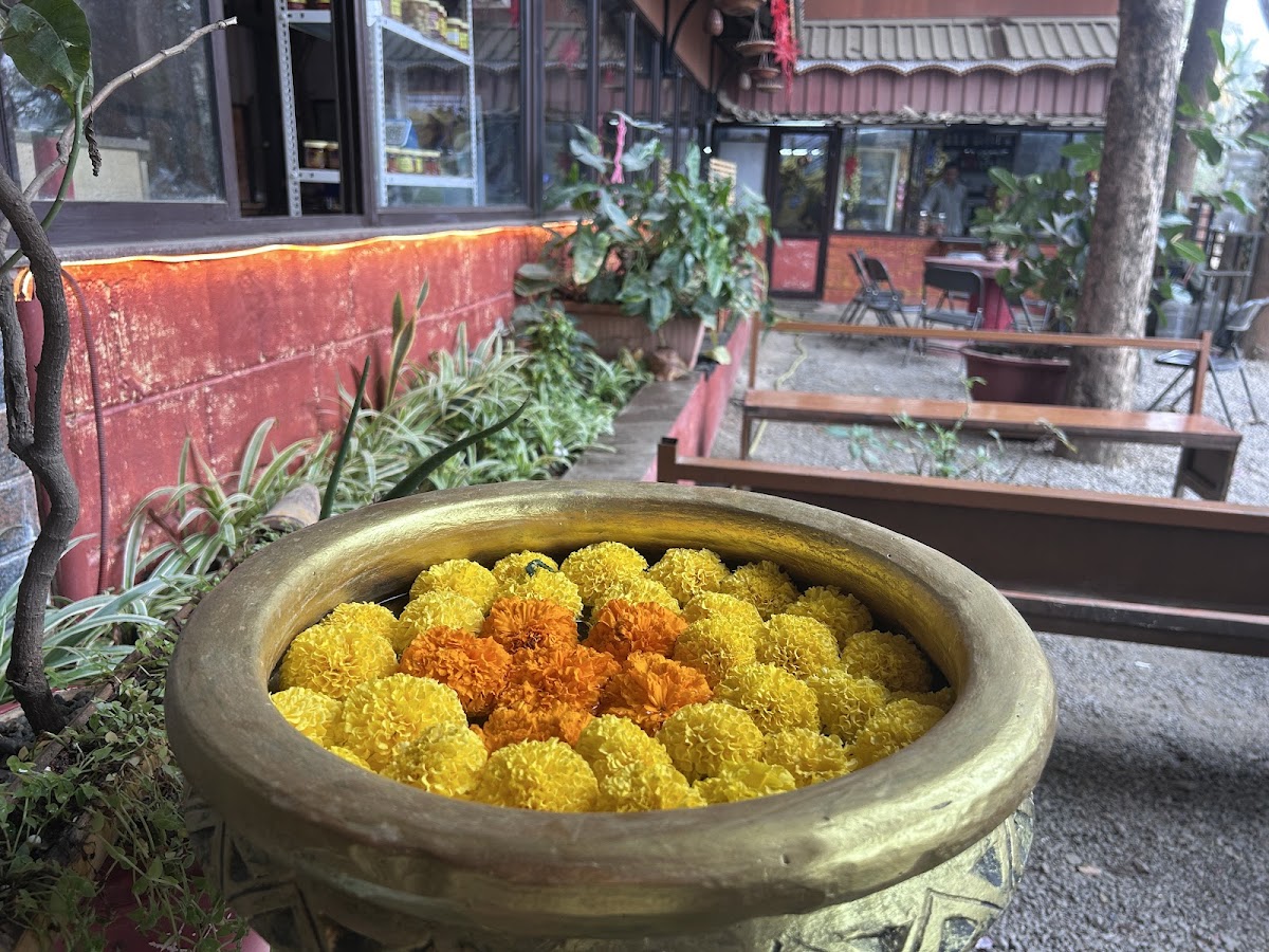 Ammachide Kaippunnyam kerala restaurant photo 4