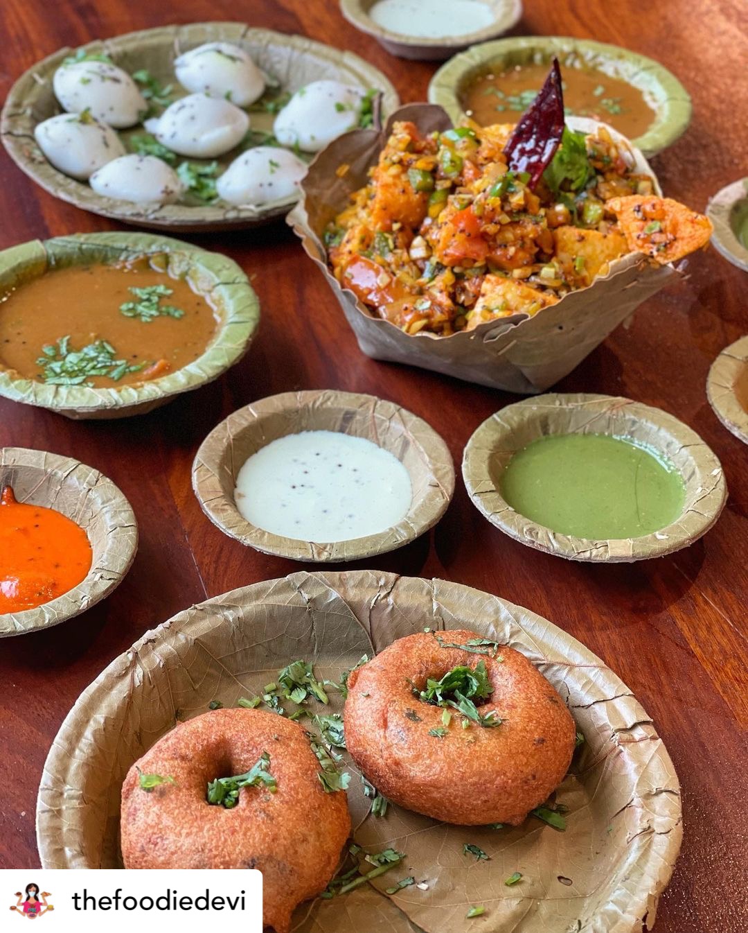 DOSAKA - The Best South Indian Restaurant in Malviya Nagar, Jaipur photo 2