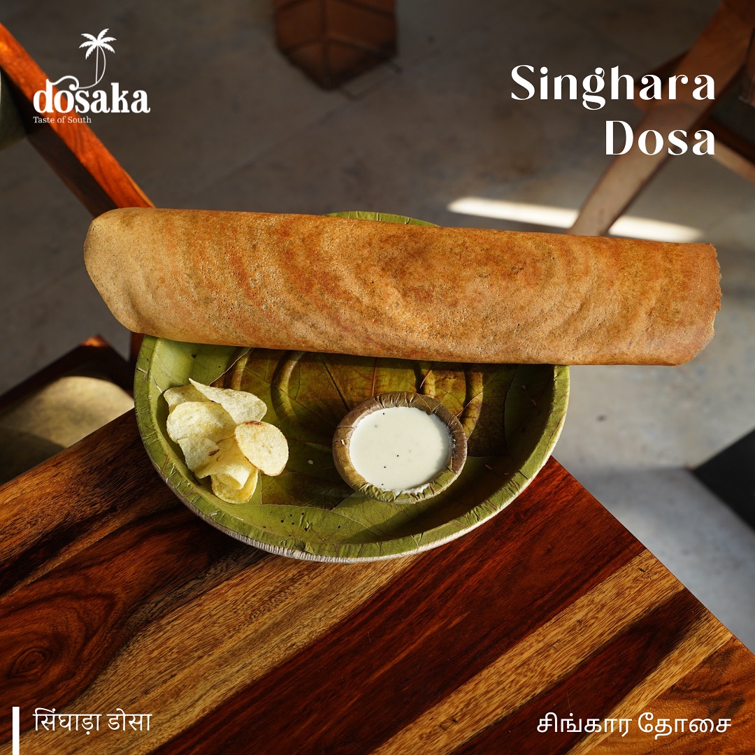 Dosaka - The Best South Indian Restaurant in Mansarovar, Jaipur photo 2