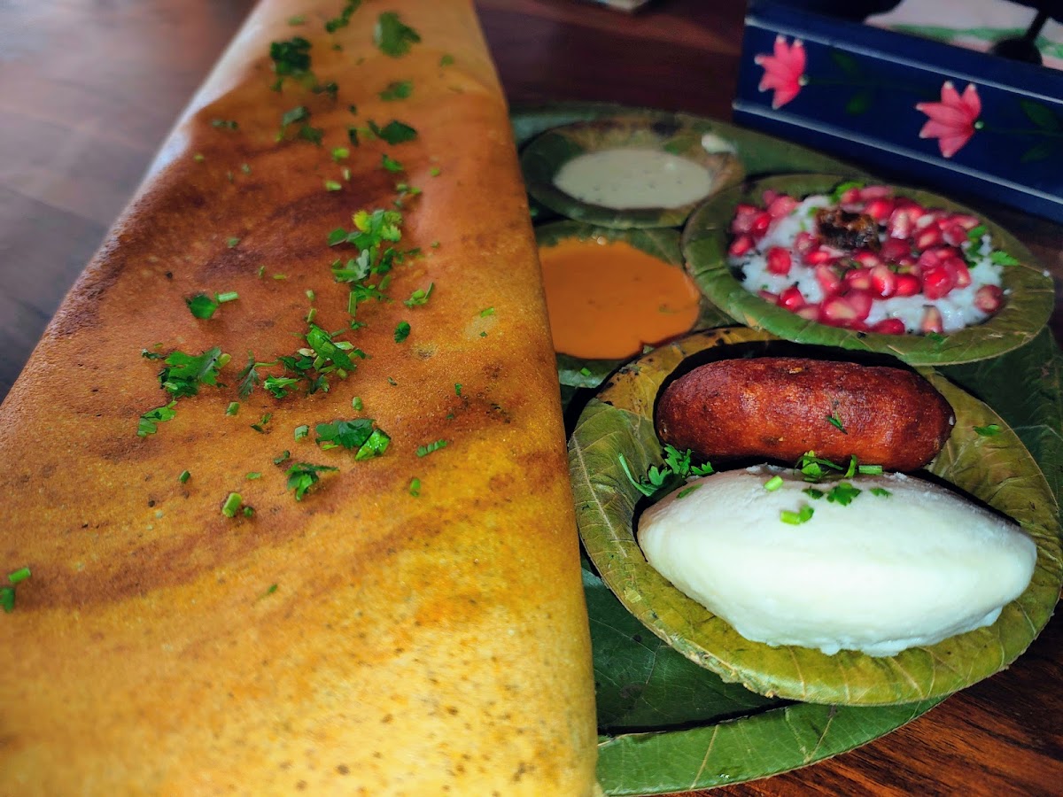 Dosaka - The Best South Indian Restaurant in Pratap Nagar, Jaipur photo 4