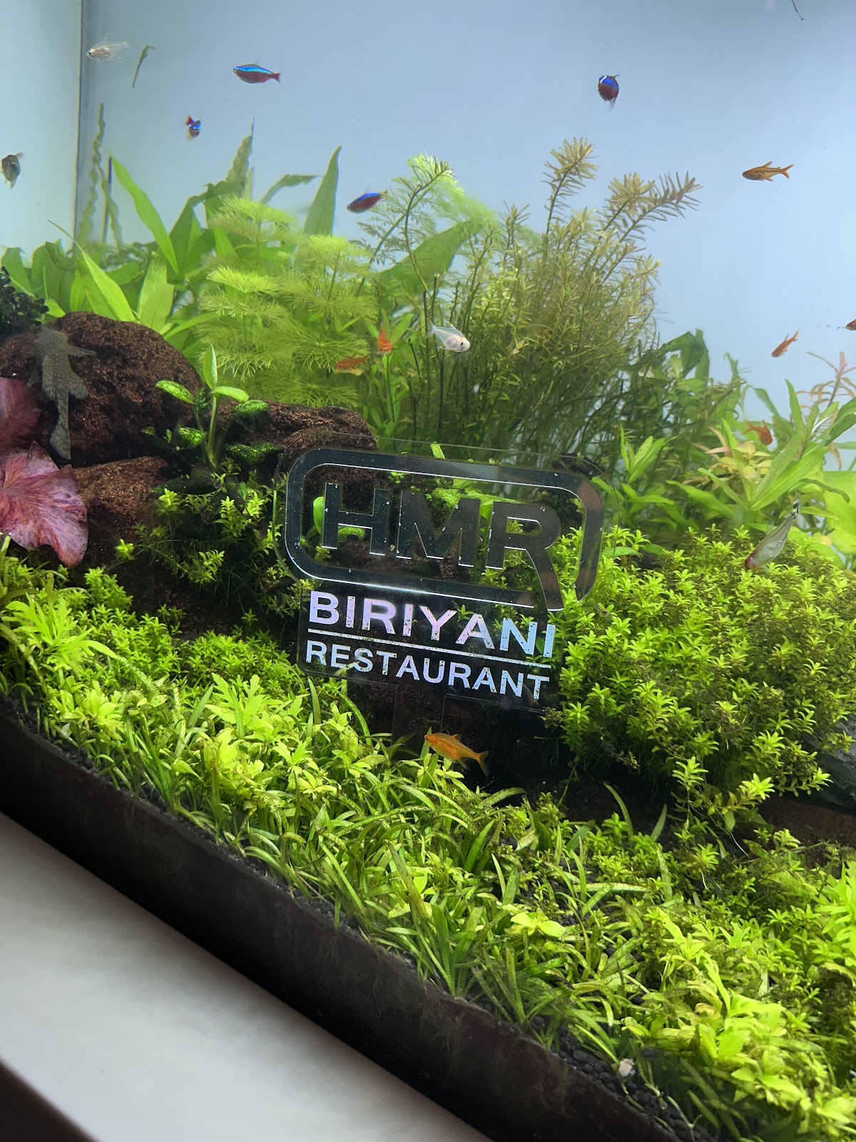 HMR BIRIYANI RESTAURANT photo 3