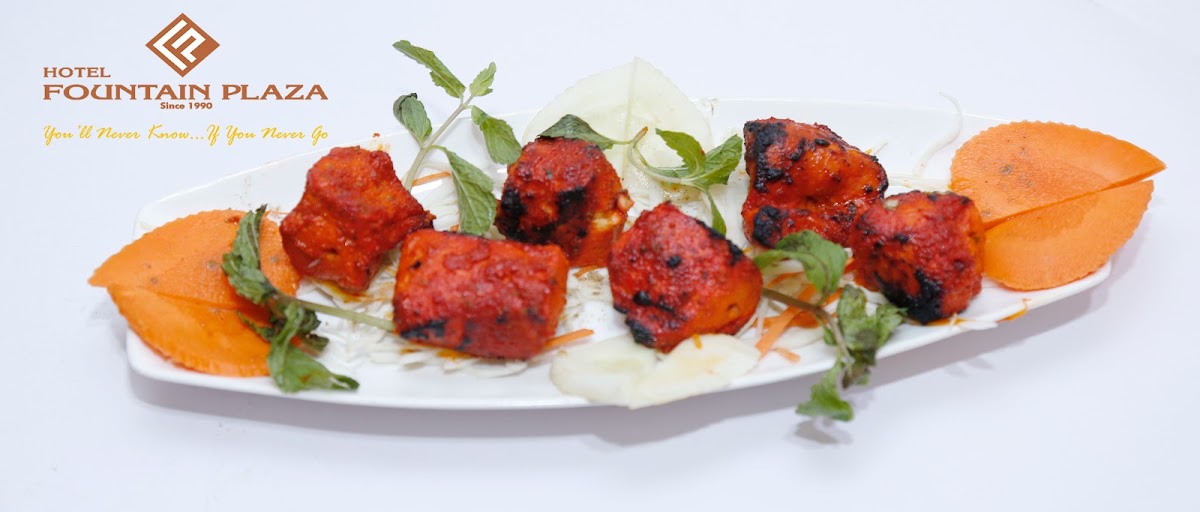 Hotel Fountain Plaza photo 2