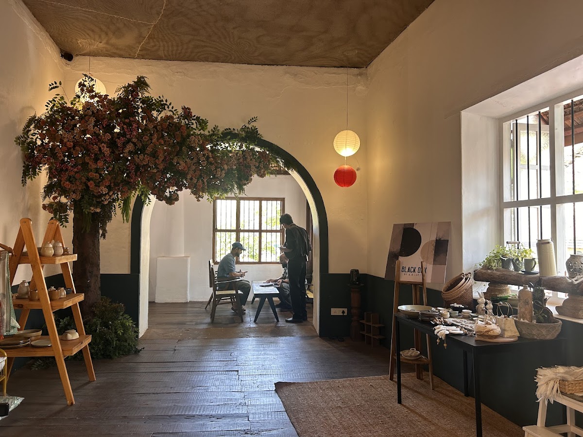 Lila - Curated Experiences photo 2