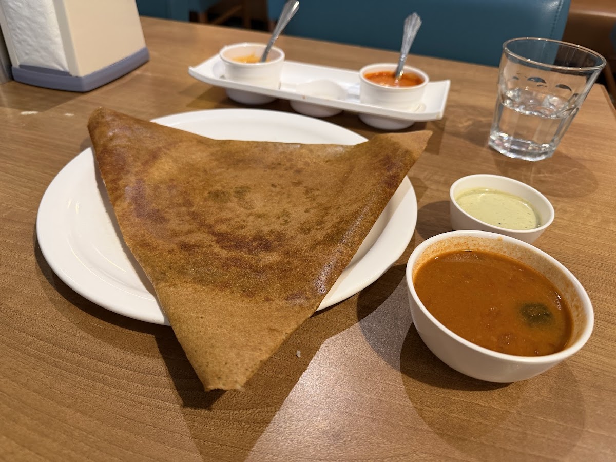 Radhika's Authentic South Indian Food photo 3