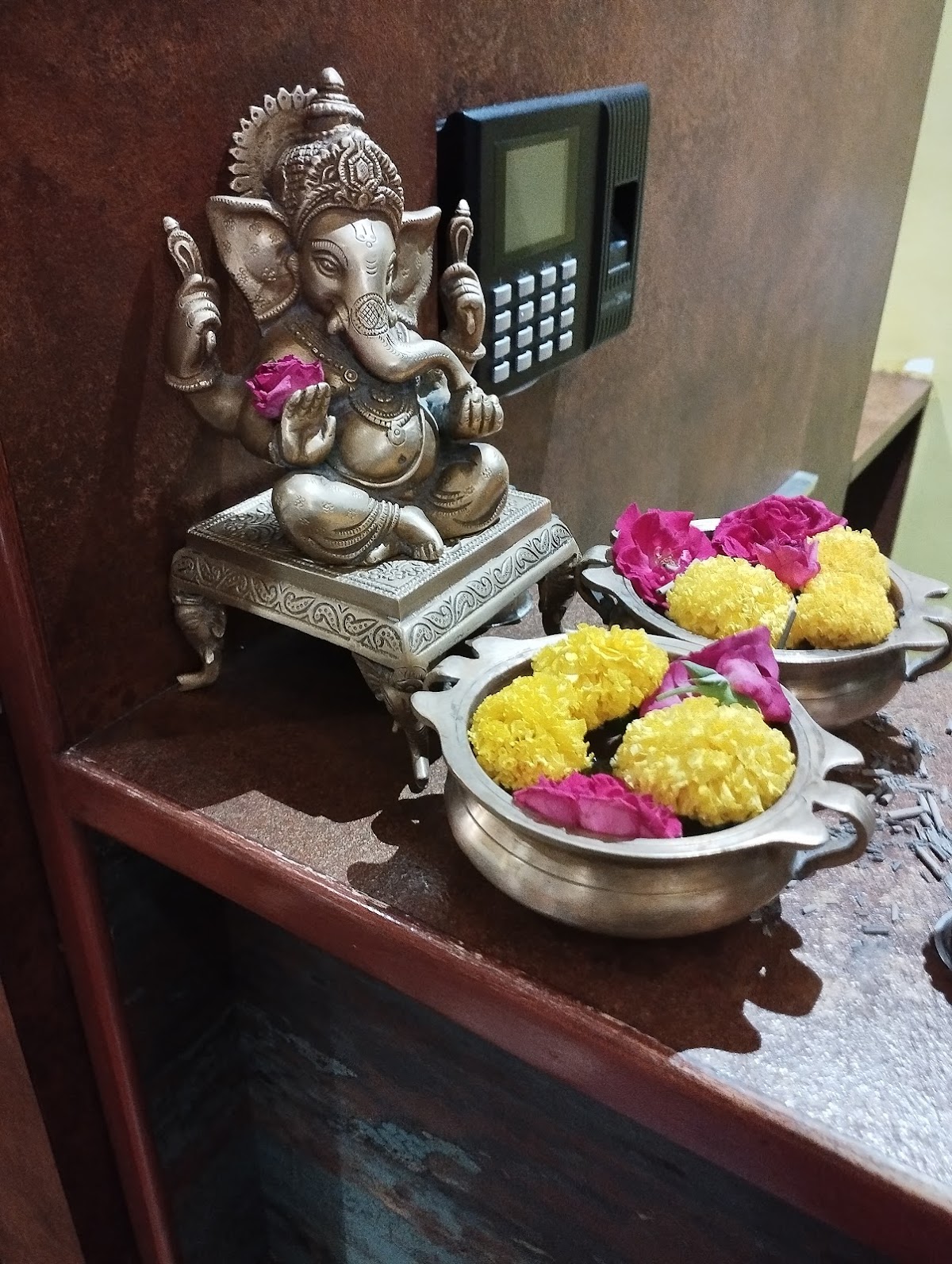 South Leaf - The food chain photo 2