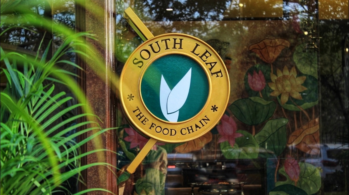South Leaf - The food chain photo 3