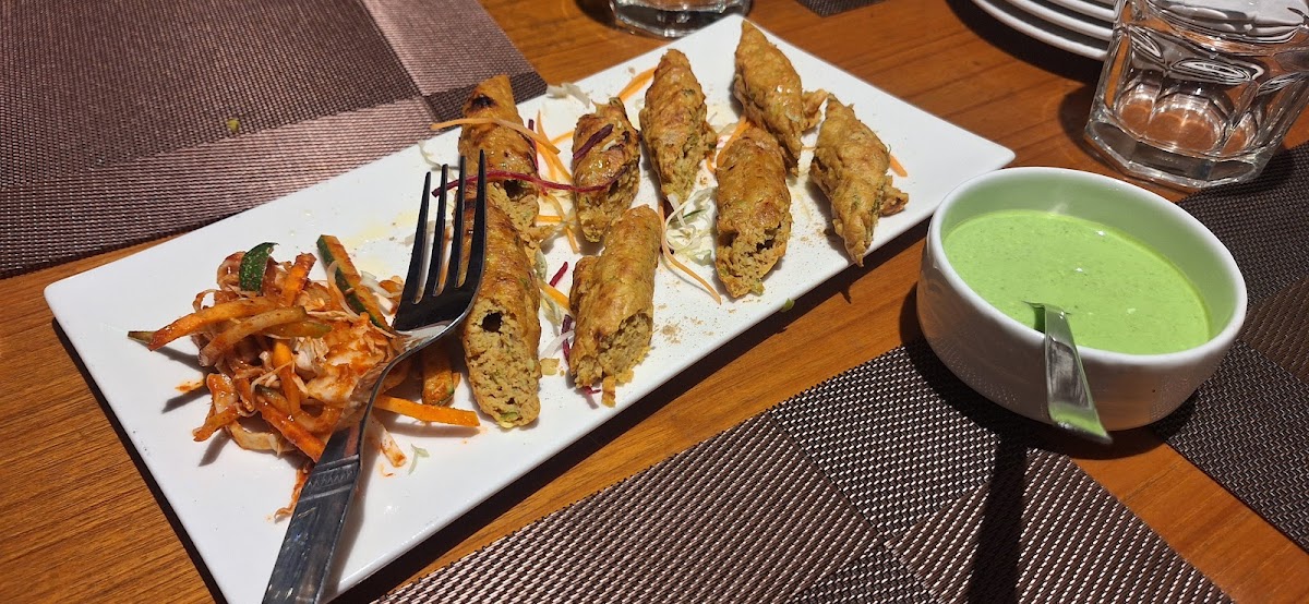 The Yellow Chilli photo 3