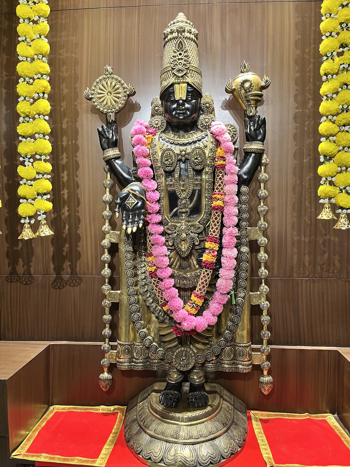 Vaani – A Southern Tale | South Indian Restaurant in Ahmedabad photo 4