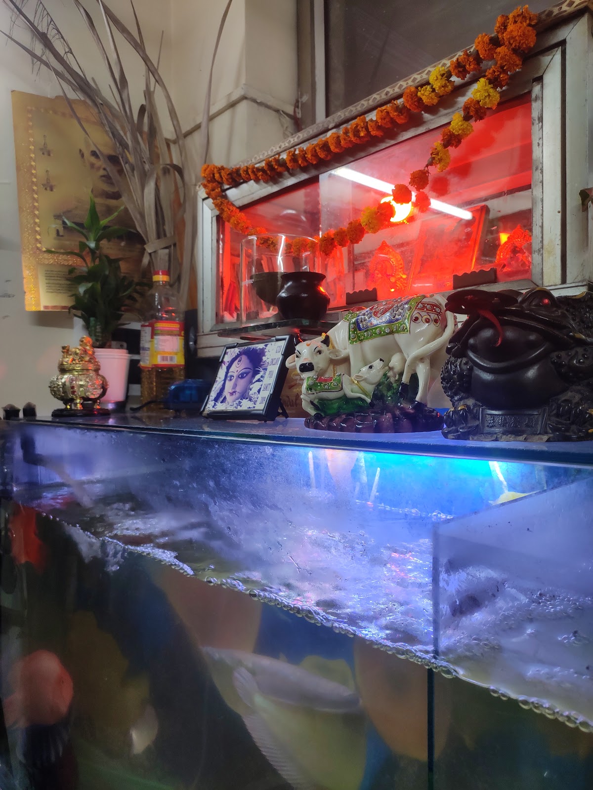 Neelagiri Kerala Restaurant photo 4